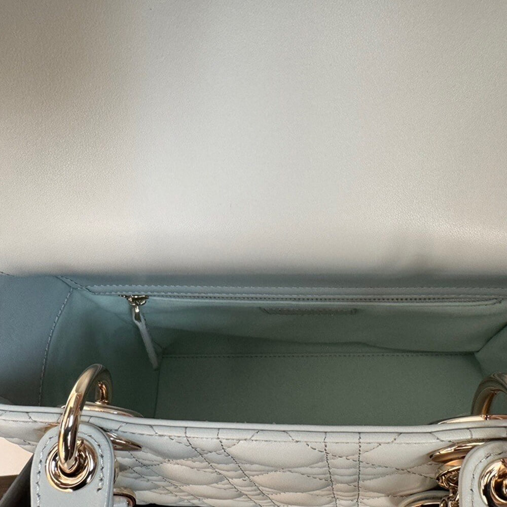 MEDIUM LADY D10r BAG