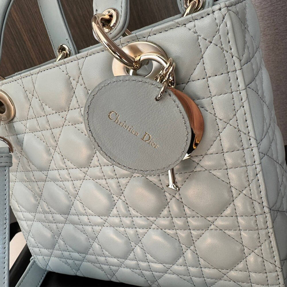 MEDIUM LADY D10r BAG