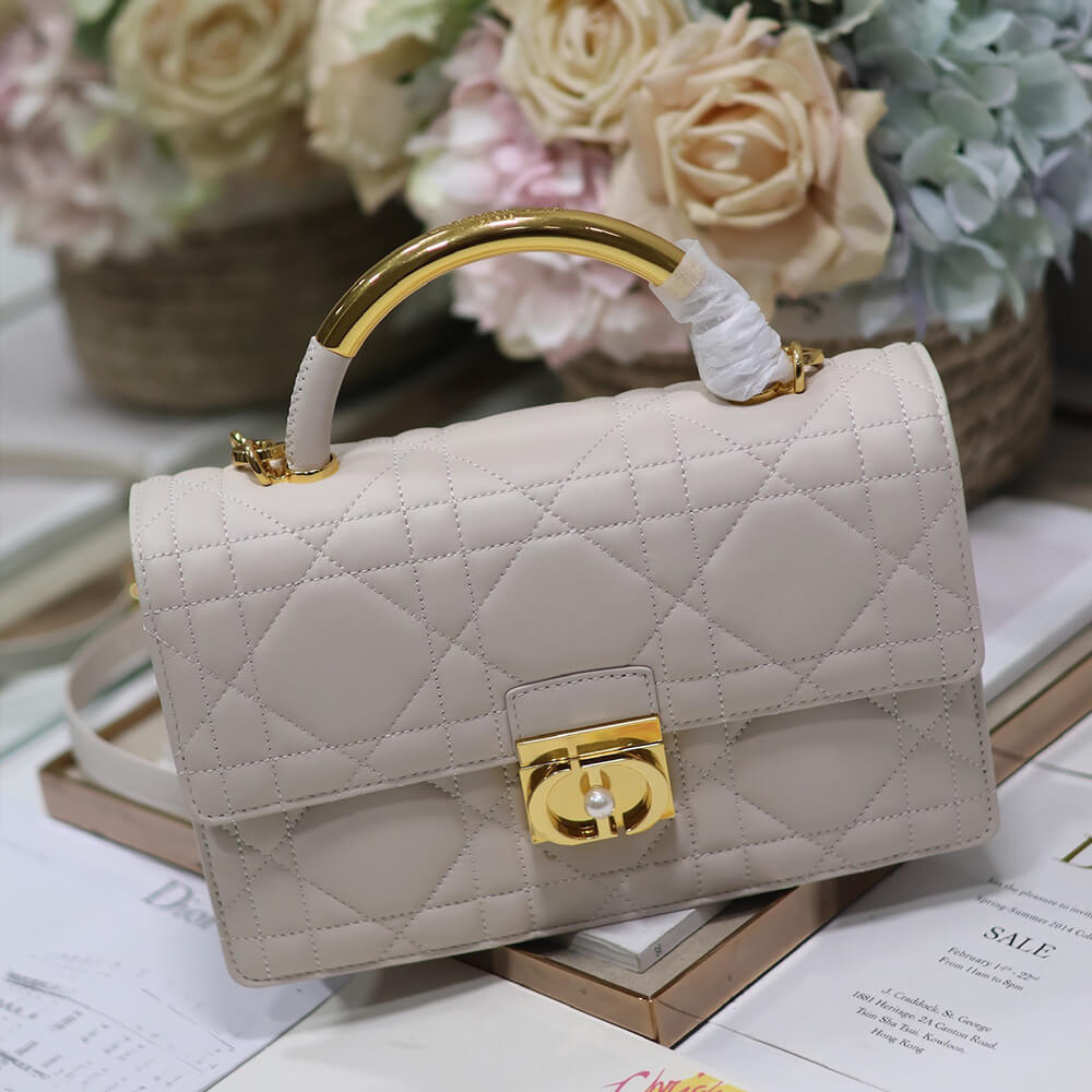 Medium D10r Ange Bag