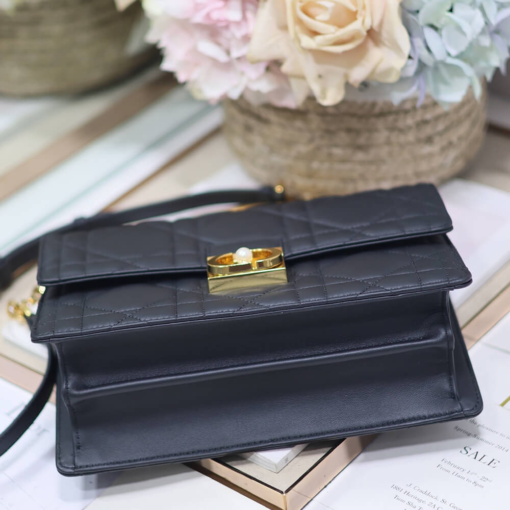 Medium D10r Ange Bag
