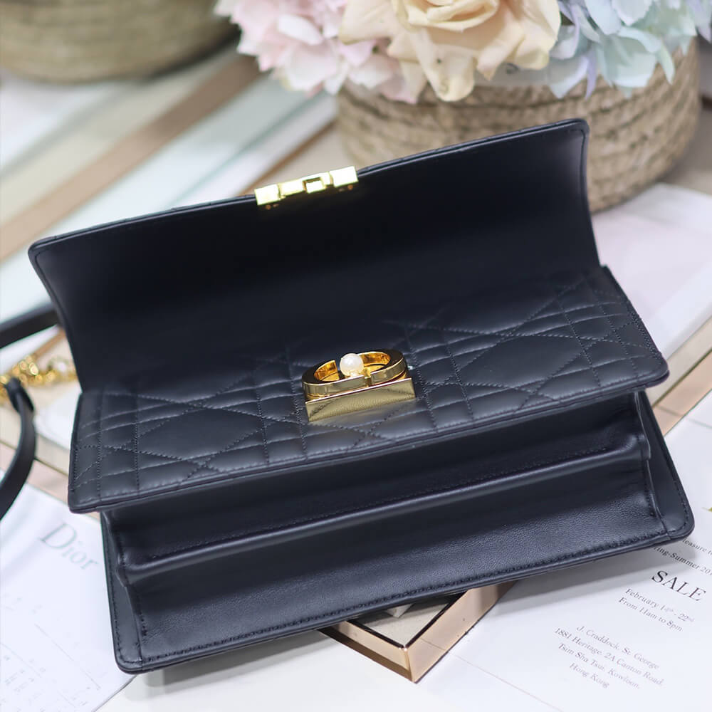 Medium D10r Ange Bag