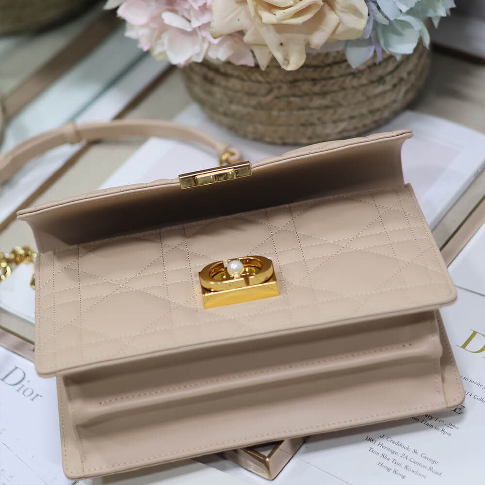 Medium D10r Ange Bag