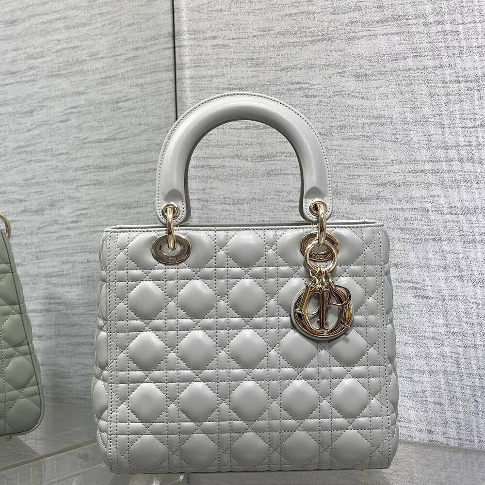 Medium Lady D10r Bag(High-end Grade)