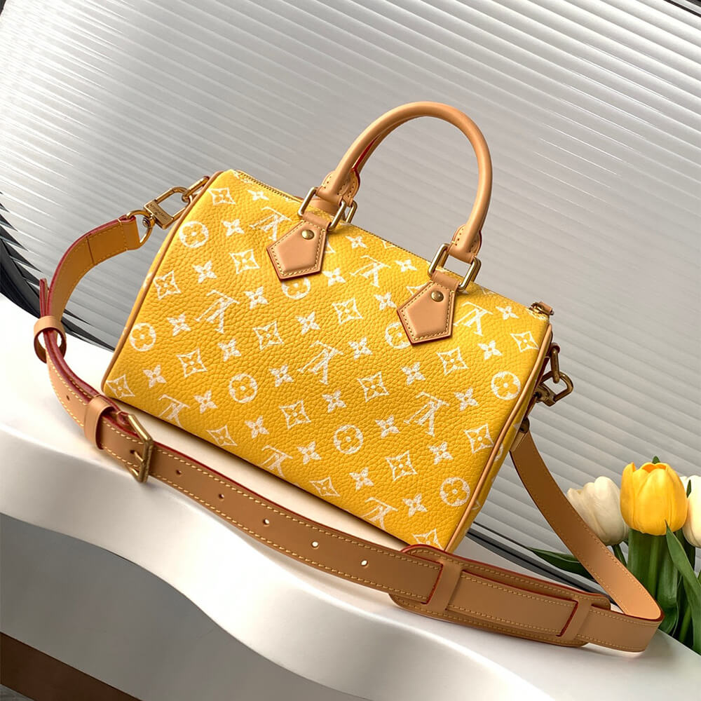 LV Speedy P9 Bandouliere 25