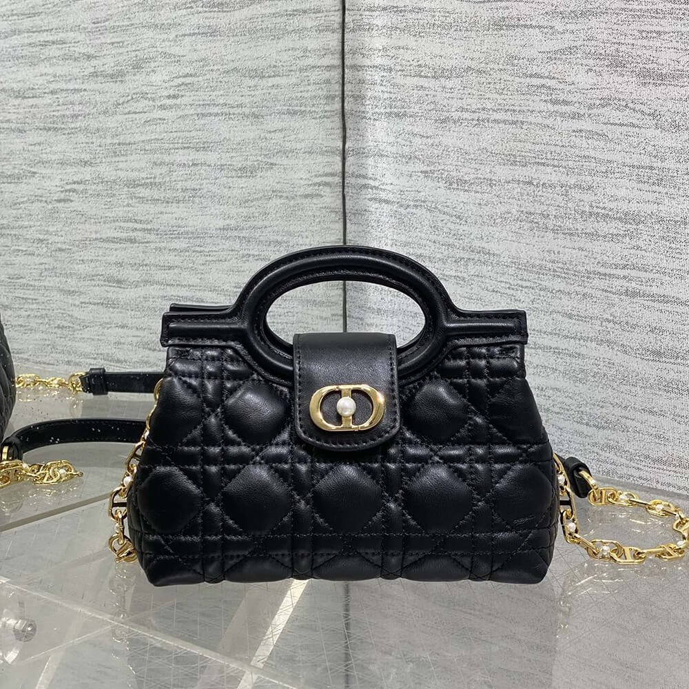 D10r Jolie Top Handle Mini Bag(HIGH-END GRADE)