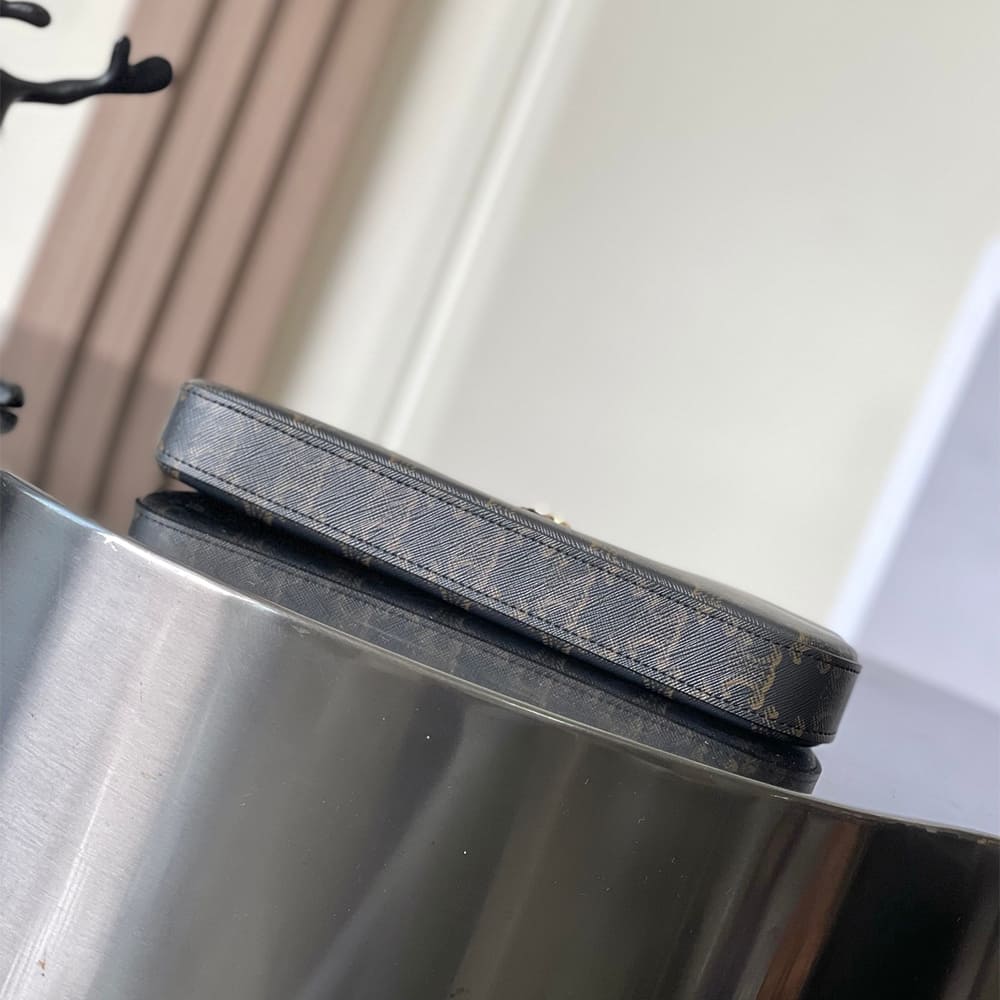 Ce1i*e TINA SHOULDER BAG IN Triomphe canvas