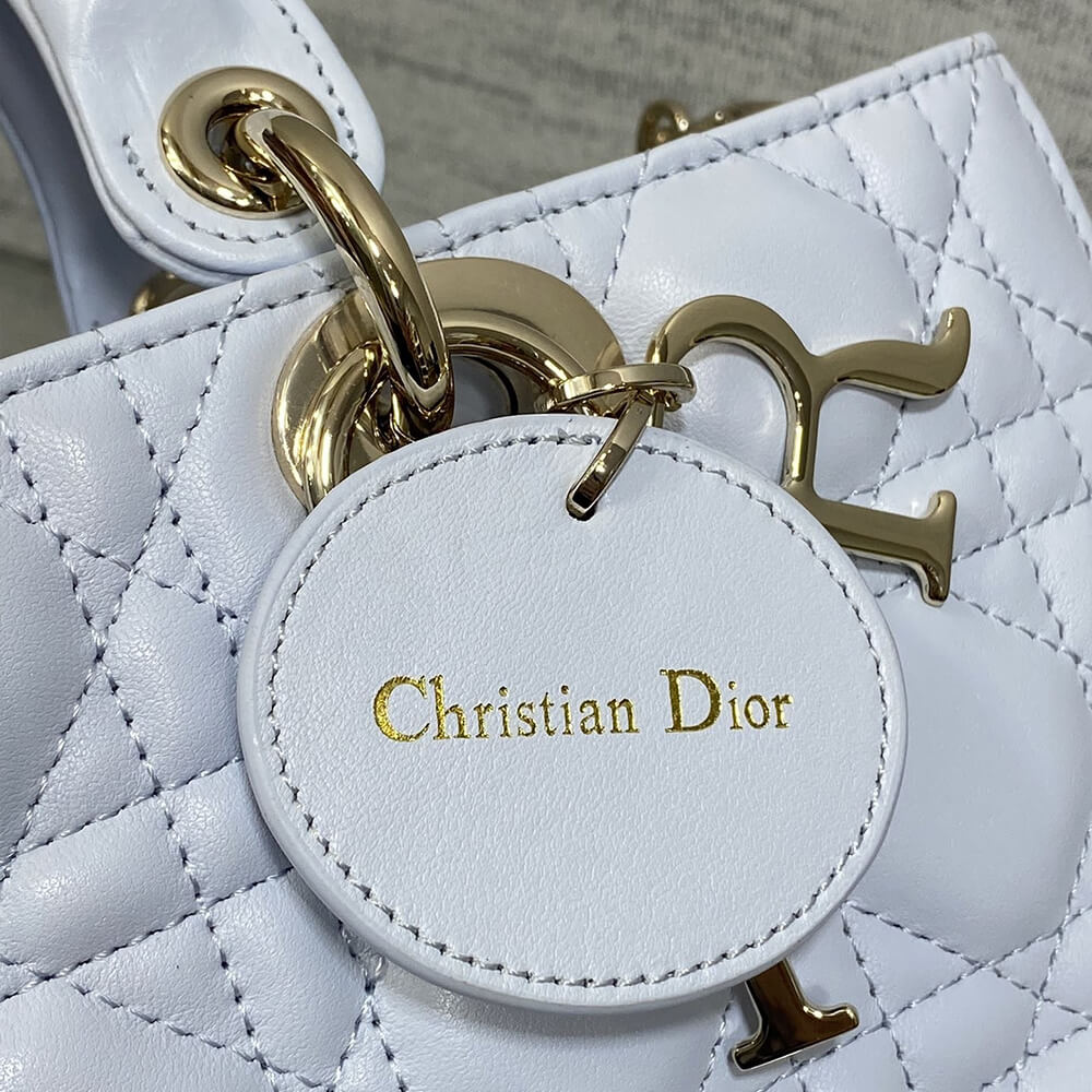D10r Medium Lady D-Joy Bag(HIGH-END GRADE)