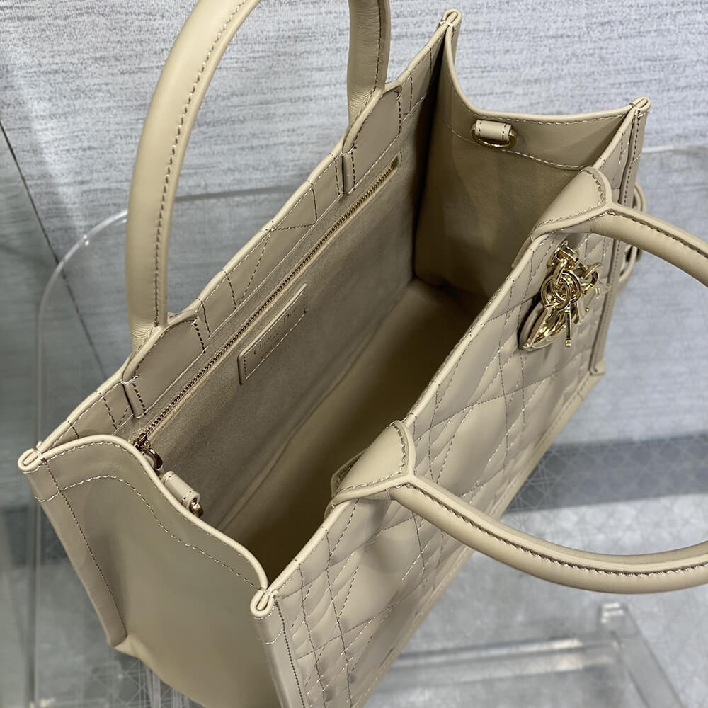 Small D10r Book Tote(HIGH-END GRADE)