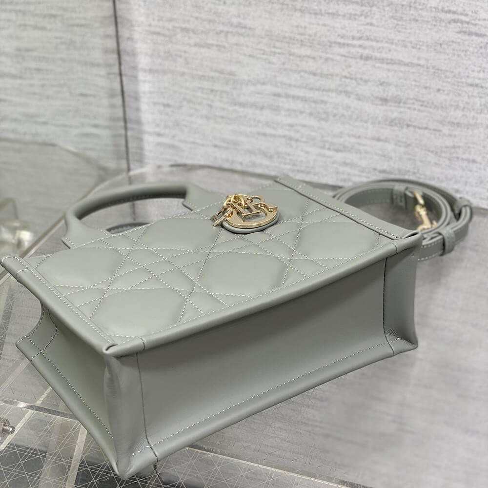 Mini D10r Book Tote(High-end Grade)