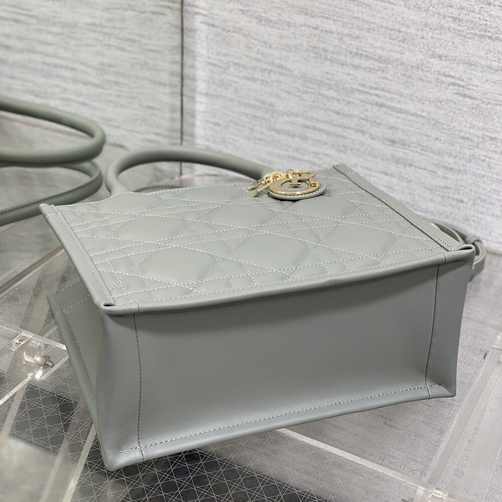 Small D10r Book Tote(HIGH-END GRADE)