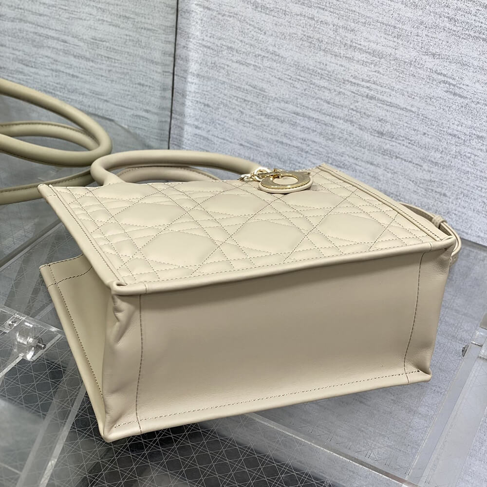 Small D10r Book Tote(HIGH-END GRADE)