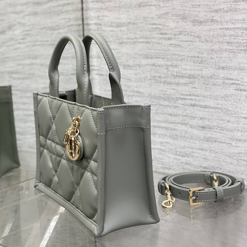 Mini D10r Book Tote(High-end Grade)
