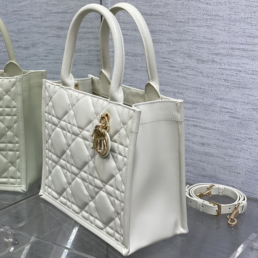 Small D10r Book Tote(HIGH-END GRADE)