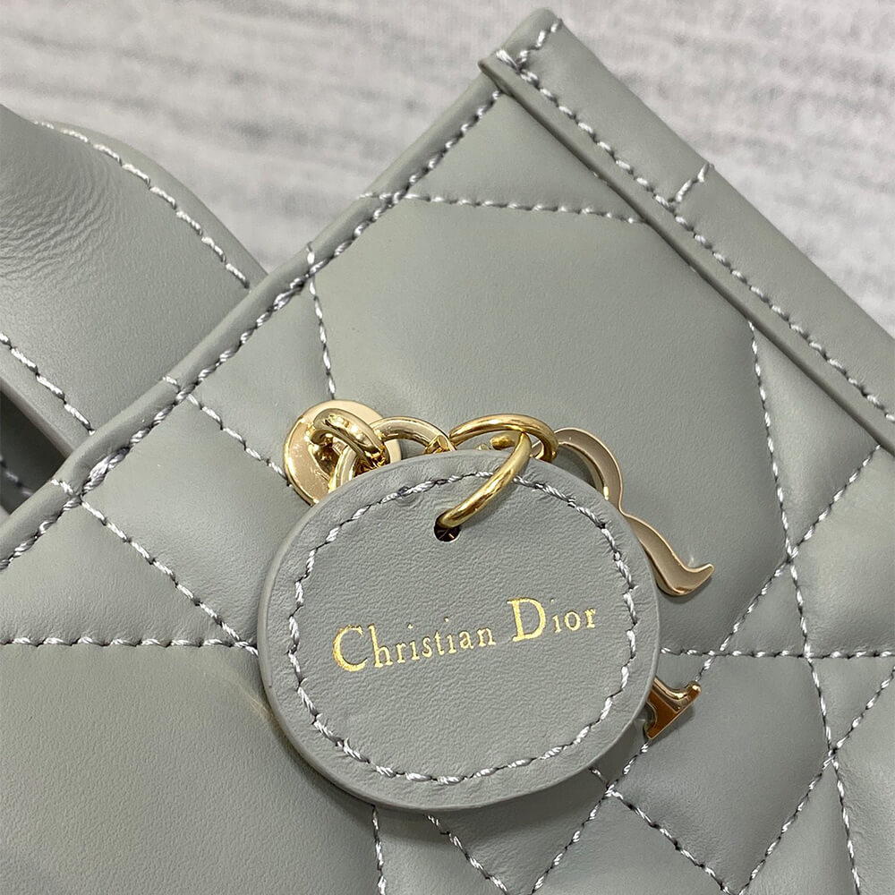 D10r Mini D10r Book Tote