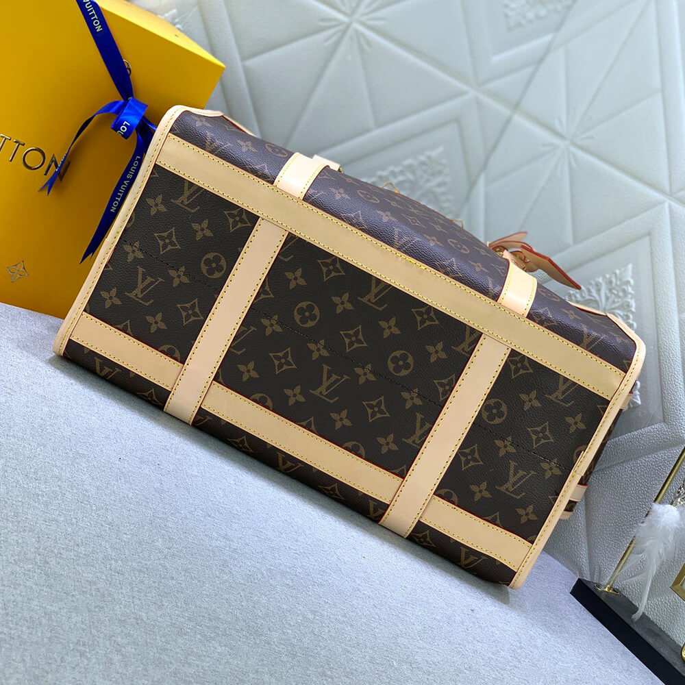 LV Dog Bag
