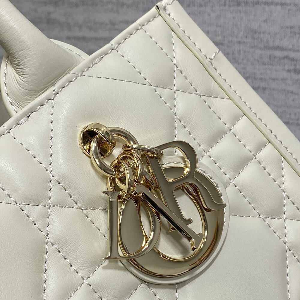 Small D10r Book Tote(HIGH-END GRADE)