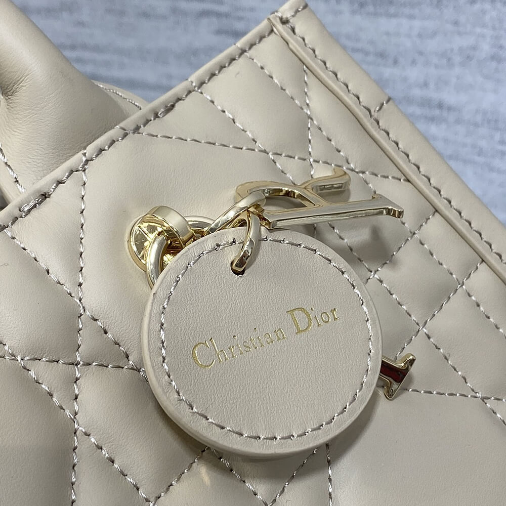 Small D10r Book Tote(HIGH-END GRADE)