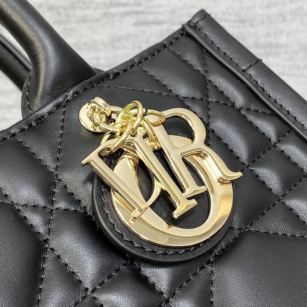 Small D10r Book Tote(HIGH-END GRADE)