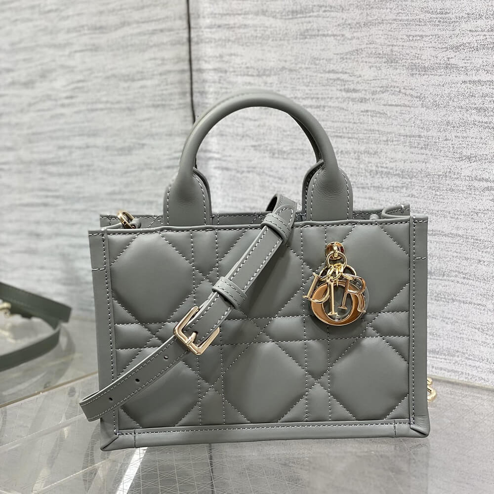 Mini D10r Book Tote(High-end Grade)