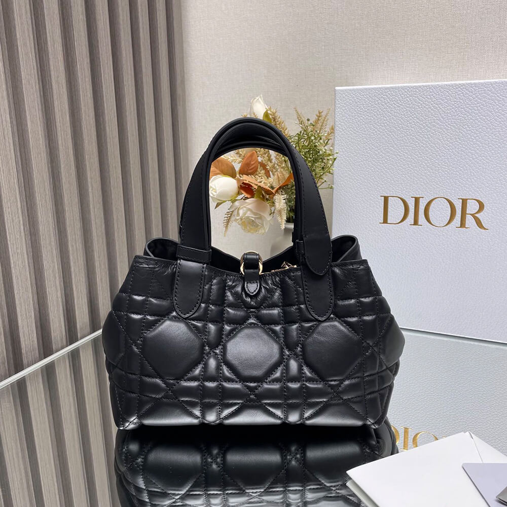 SMALL D10r TOUJOURS BAG(HIGH-END GRADE)