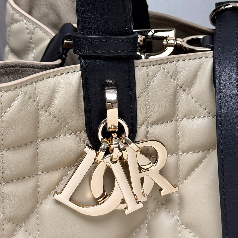 Medium D10r Toujours Bag(HIGH-END GRADE)