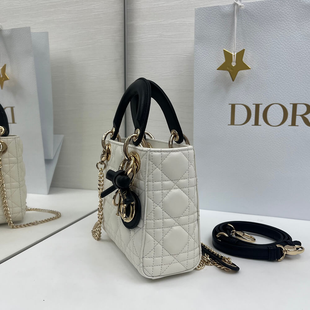 MINI LADY D10r BAG(HIGH-END GRADE)