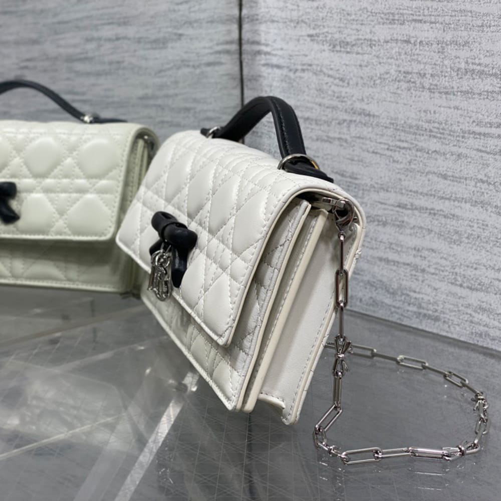 My D10r Mini Bag(HIGH-END GRADE)