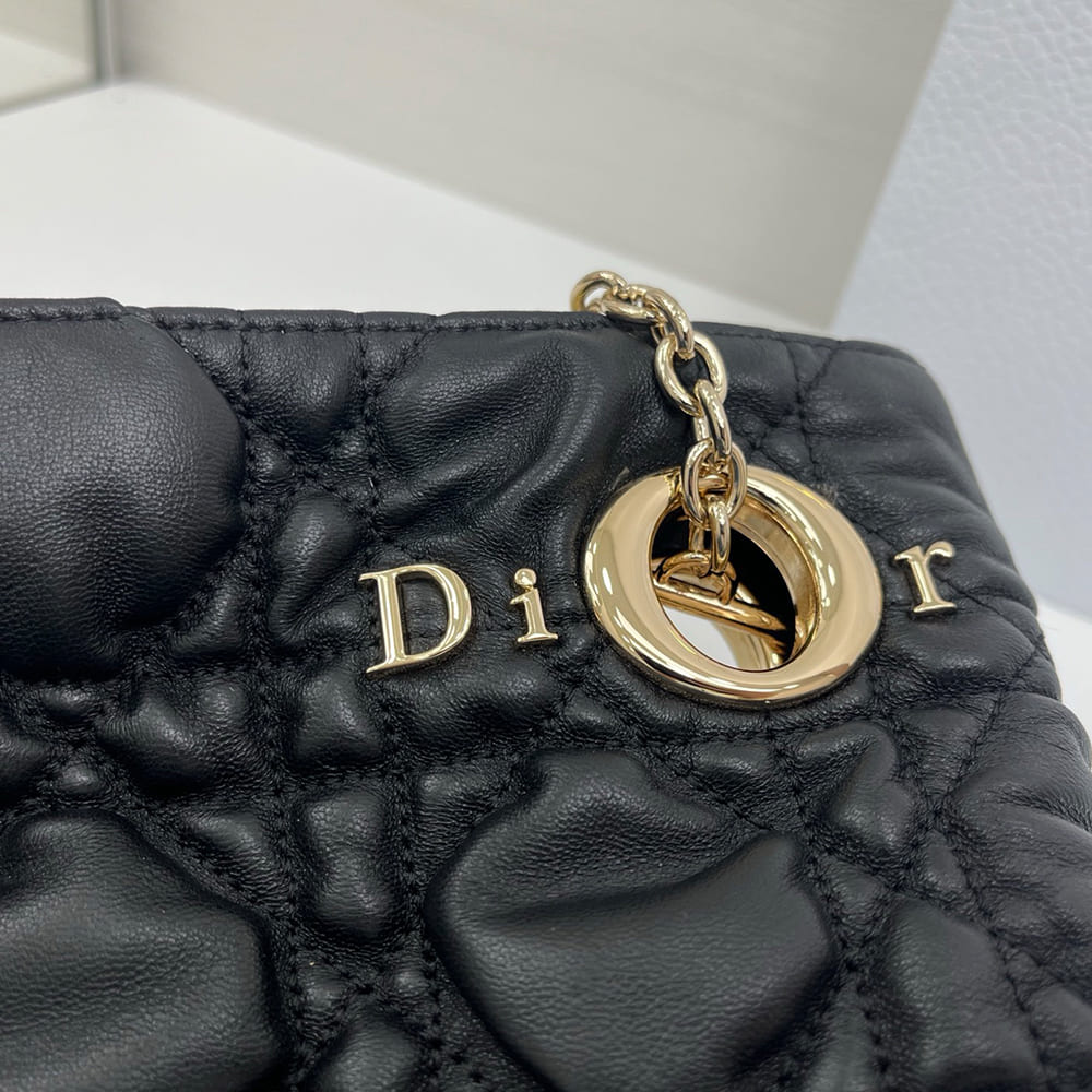 D10r Medium D10r Crunchy Bag(HIGH-END GRADE)
